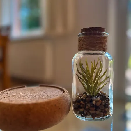 Urlauberdorf Haus 20a * Boltenhagen